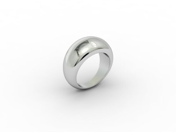 Fascia 002 - immagine 2