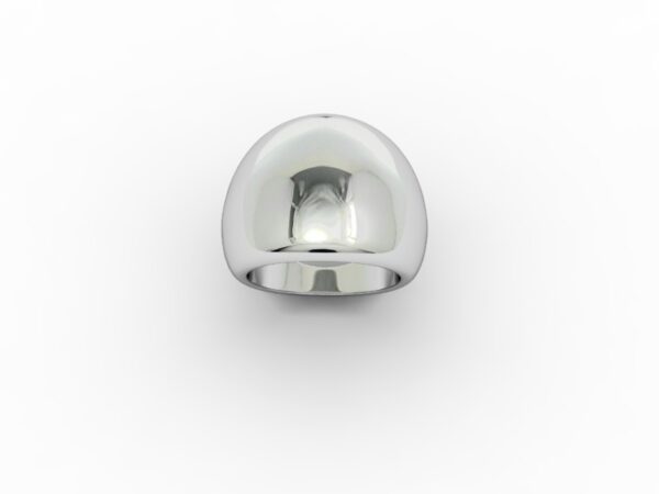 Fascia 004 - immagine 5