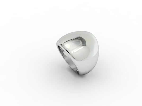 Fascia 004 - immagine 4