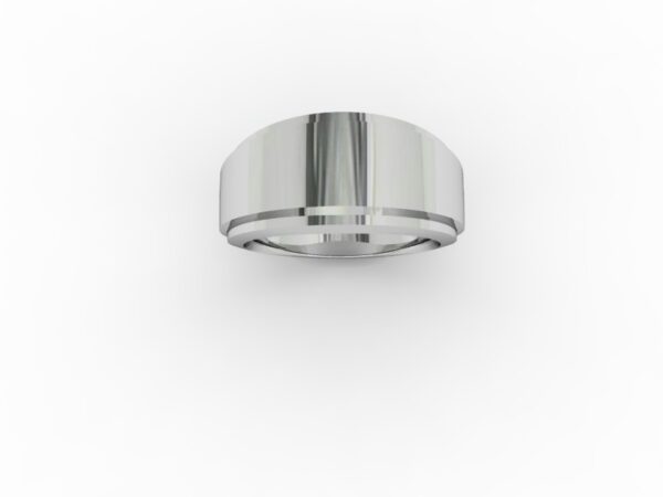 Fascia 005 - immagine 5