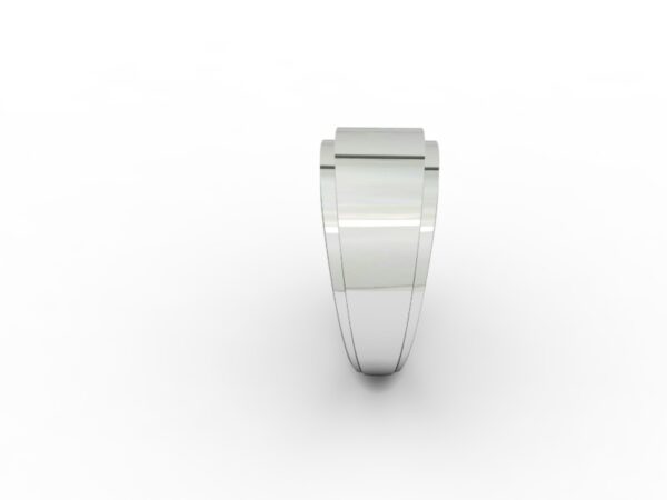 Fascia 005 - immagine 4