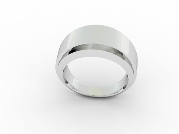 Fascia 005 - immagine 3