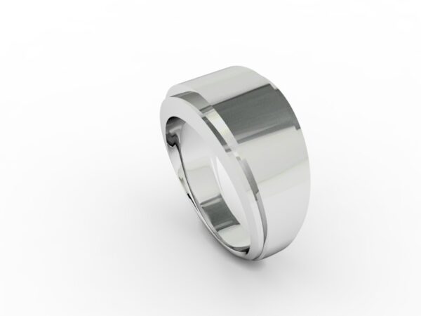 Fascia 005 - immagine 2