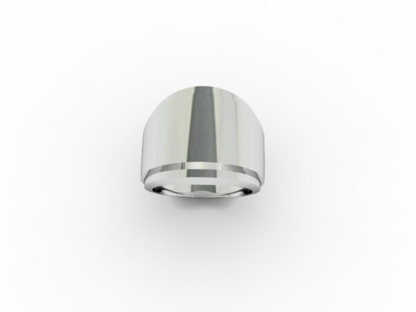Fascia 006 - immagine 5