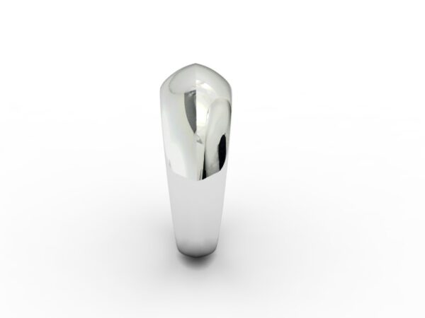 Fascia 011 - immagine 2