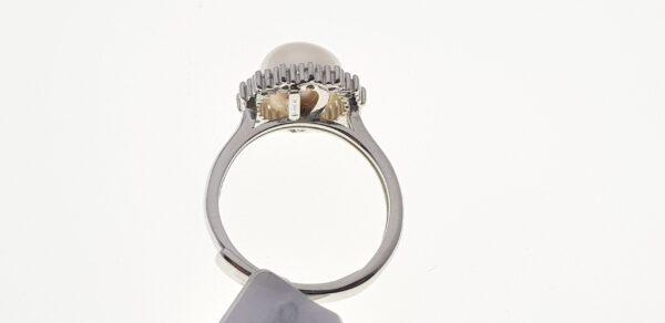 Anello Donna Q195 - immagine 2