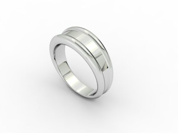 Fascia 009 - immagine 3