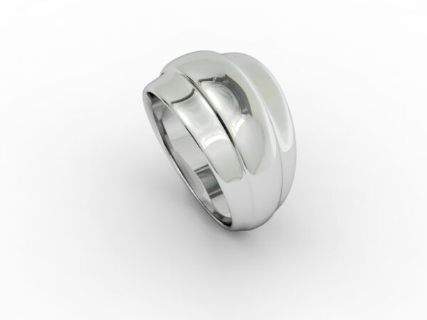 Fascia 014 - immagine 3