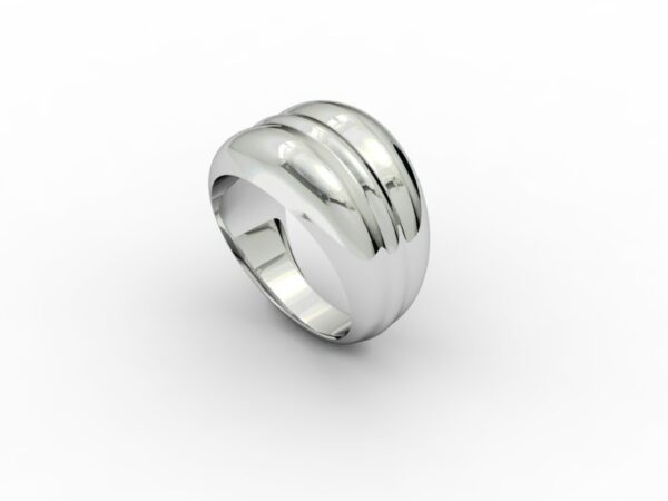 Fascia 016 - immagine 3