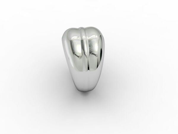 Fascia 016 - immagine 2