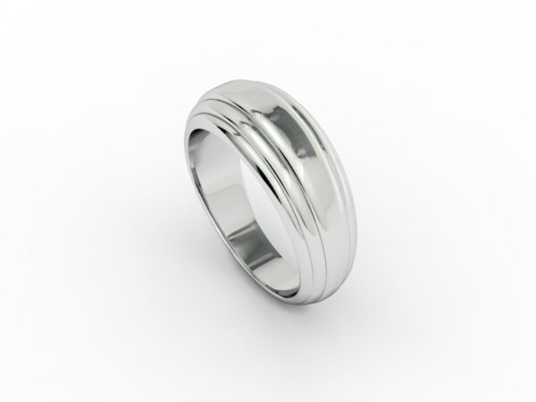 Fascia 017 - immagine 3