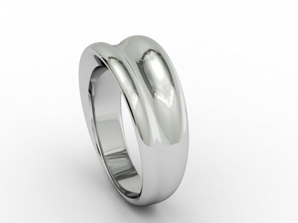 Fascia 021 - immagine 2