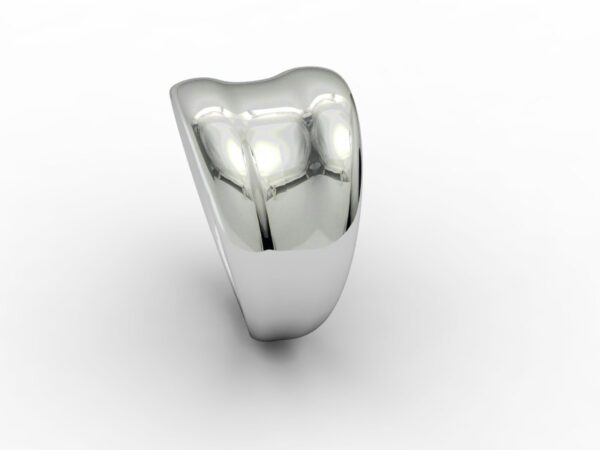 Fascia 022 - immagine 4