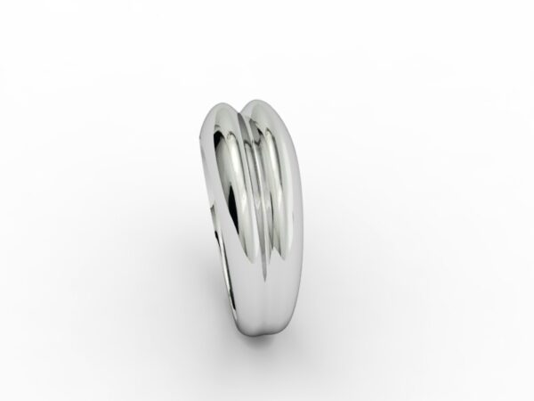 Fascia 023 - immagine 3