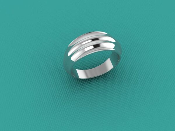 Fascia 027 - immagine 2