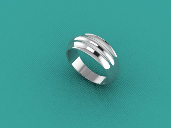 Fascia 027 - immagine 3