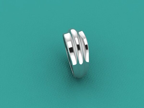 Fascia 027 - immagine 4